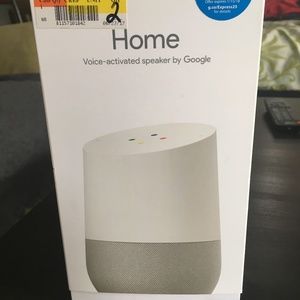 Google Home, Voice-activated speaker/assistant